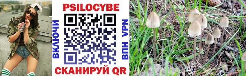 Псилоцибиновые грибы мицелий  Белинский 